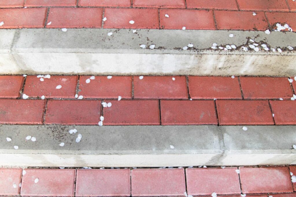 Cena schodów z kostki brukowej